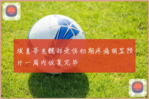 埃基蒂克髋部受伤初期疼痛明显预计一周内恢复完毕