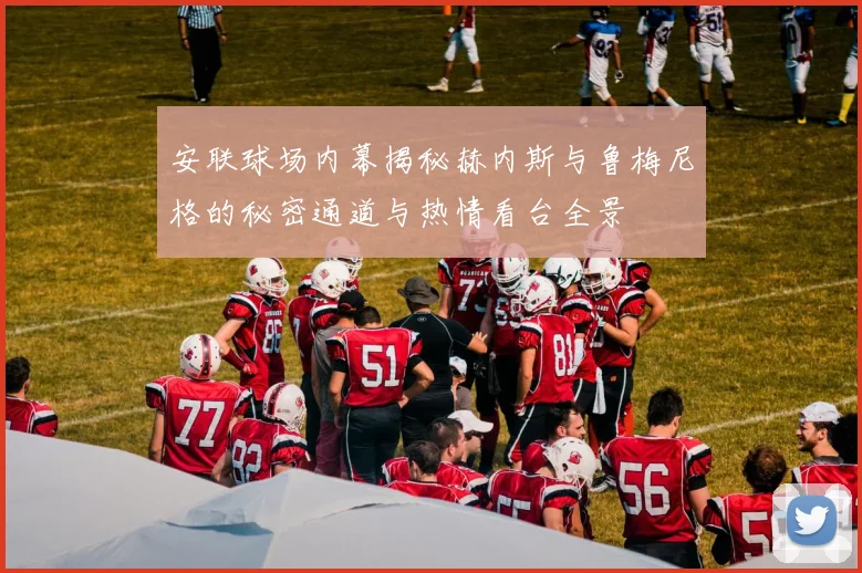 安联球场内幕揭秘赫内斯与鲁梅尼格的秘密通道与热情看台全景
